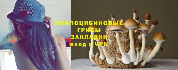 ALPHA PVP Володарск