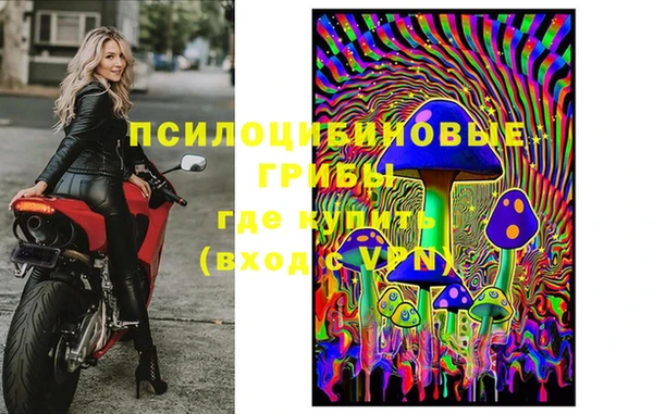 спайс Вяземский